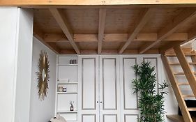 Modern & Dreamy Duplex In Le Marais